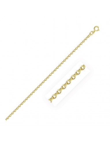 10k Yellow Gold Rolo Chain 1.9mm Amélioration de cerveau avec